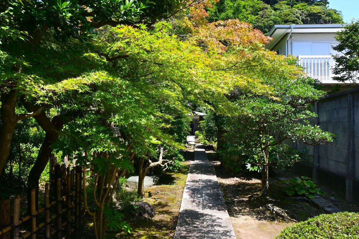 吉屋信子記念館:玄関への道